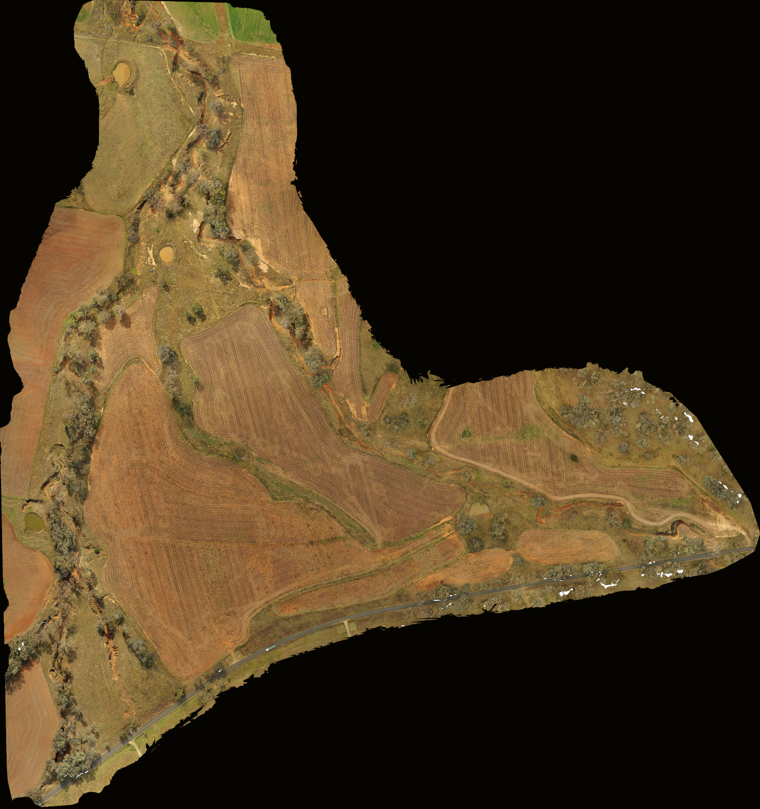 Lambruk Creek near Duri-Dungowan Rd